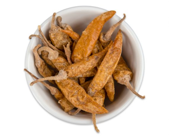Shakti Curd Chiily