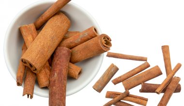 Shakti Cinnamon